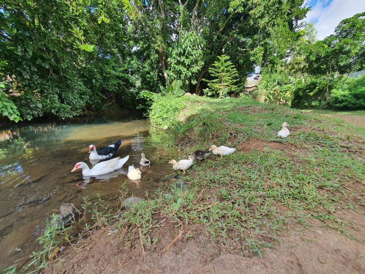 Hotel Le Chalet, La Petite Ferme Vieux Grand Port Zewnętrze zdjęcie